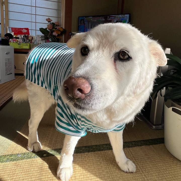 B4dca181 244b 41e8 910f 31e0198b22eb 1766968044866