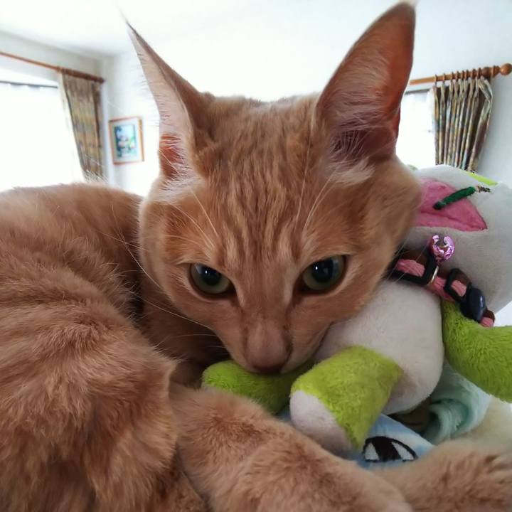 B4dcab6c b648 4a60 b5cc 9440396e2d42 1600686561486