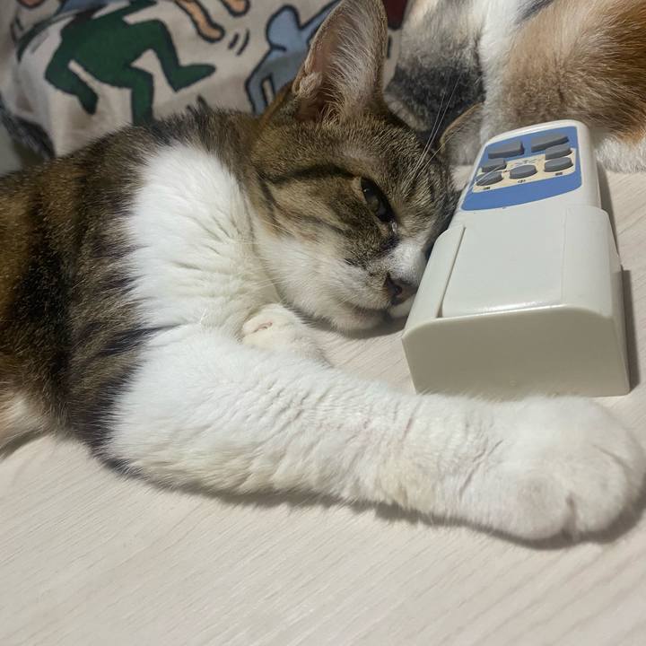 B4dcb3b8 01ec 4bc9 ba80 3feaddf9df4d 1724235028454