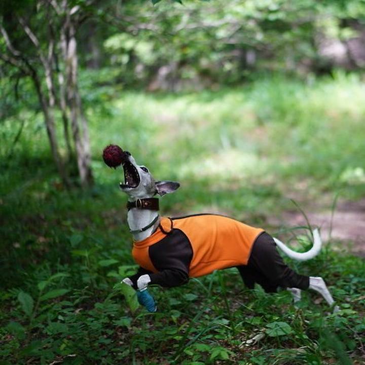 B4dcb4c7 a1a6 42d2 aaa2 30817aad652c 1532777594242