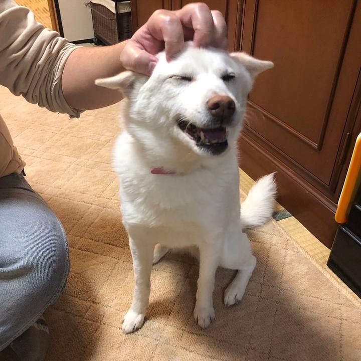 B4dcbb48 156e 47cd a07e 0716dbe69ec4 1705226435813