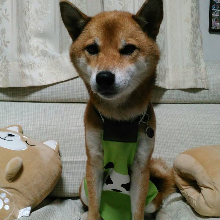 B4dcf40e ddf1 4f94 b75b 38785b67f6bc 1507980888502