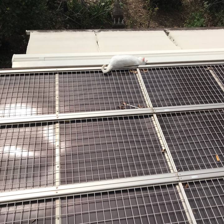 B4dd18ac 9768 461c bf70 096d83e8d75b 1603109599583