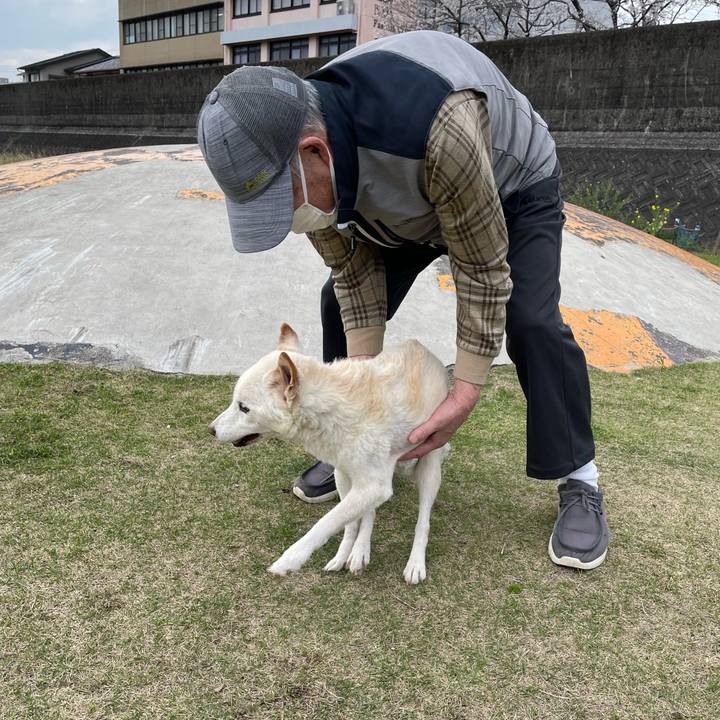 B4dd268b 67e2 4c1b 826c fe5587bf200c 1679915700404