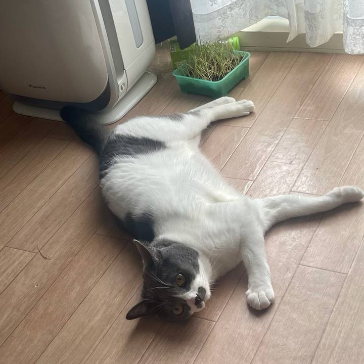 B4dd40e0 7cd5 4328 a0ca 7defc4a26bc4 1629426346423