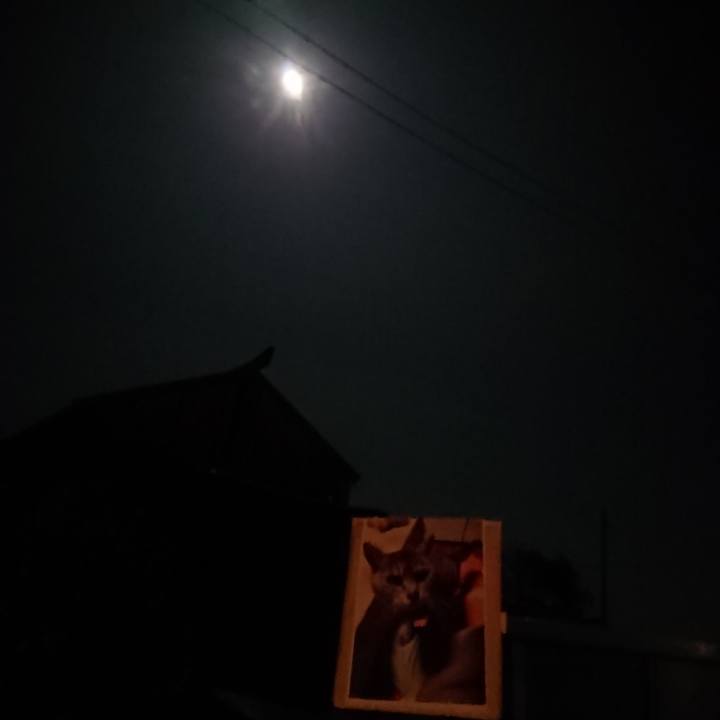 B4dd6872 3ffd 4ecd 9ea9 360ffd7812b9 1604144094494