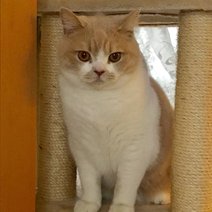 B4dd723f b963 4df1 b535 62e59f7d567c 1548991004257