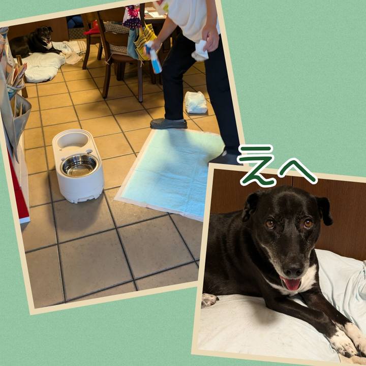 B4dd72be fab4 4138 8eda f345534477b1 1725155630040