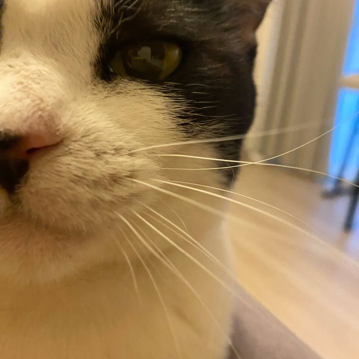 B4dd7bcd 340f 4144 9b38 8847dc451745 1767058209486