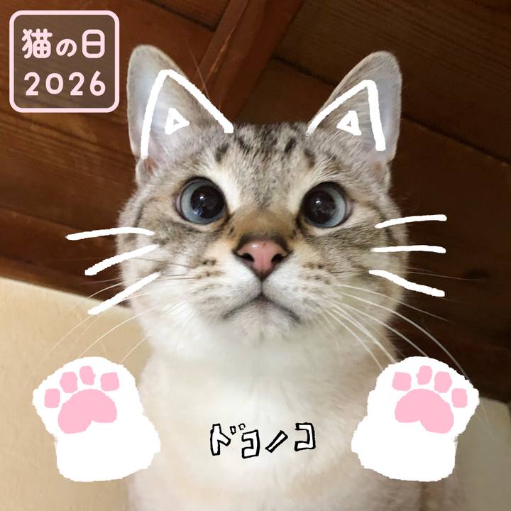 B4dd8bbd 43c8 4a05 be3b bd6cf0dde1de 1771723139320