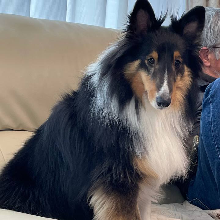 B4ddb18e 0e43 43fe 90dc da50f654f29c 1612748143229