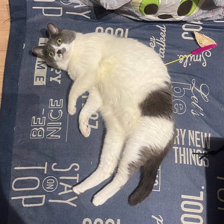 B4ddfae0 1106 461d bb35 f020844092ff 1747843051208