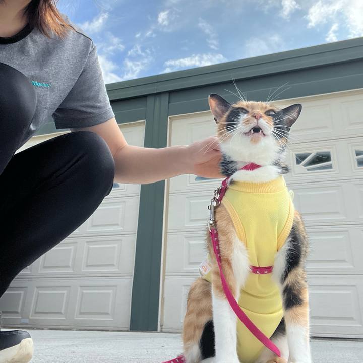 B4de167b c6f2 43f2 bd2c a6d5eeee4c75 1658097013340