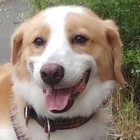 B4de1cc1 39f1 4a48 a0ba addaa8c9cd2d 1534148633980