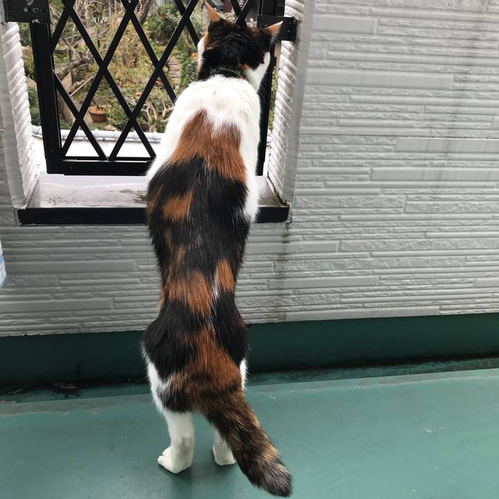 B4de8635 4d9d 4171 9b81 42fc9ac40ba9 1518746214028