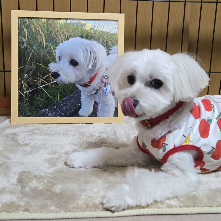 B4de8c97 bdb5 4213 b392 f9ffed3d65cb 1765015684605