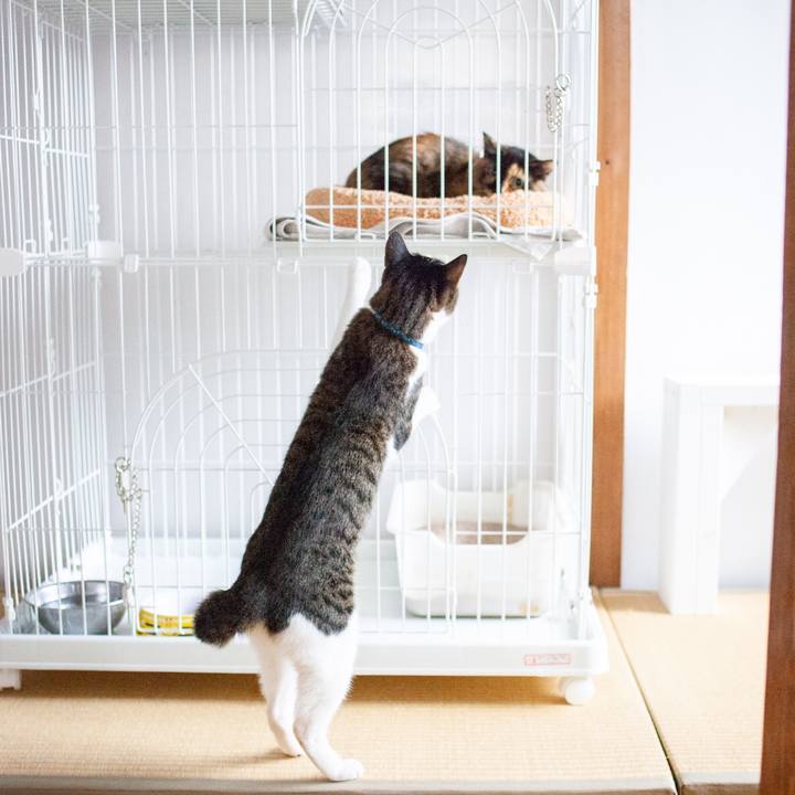 B4dea3c4 a204 4d33 a65c 10c3ecec3a59 1573135728470