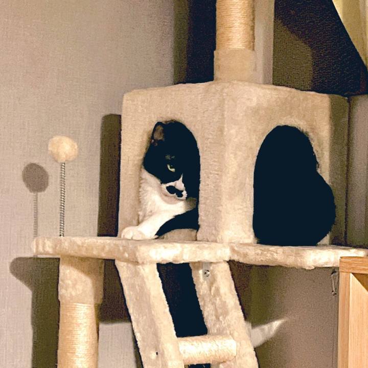 B4deaf74 0b54 4d76 9fef 8cf4379ed6d9 1664271534094