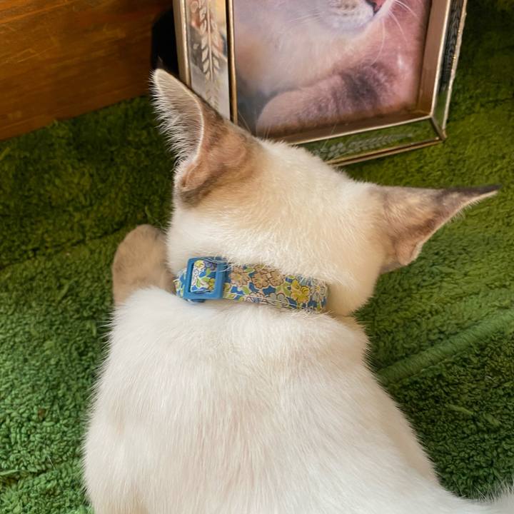 B4dec392 77b0 4f6c bc69 e35a9d307209 1630221962987