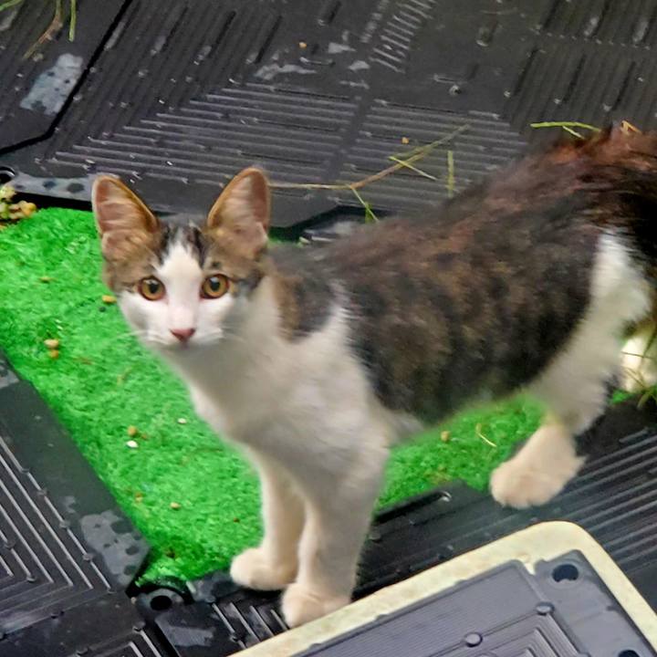 B4dec4e5 d0e1 4307 a064 711c32b35a07 1695331765697