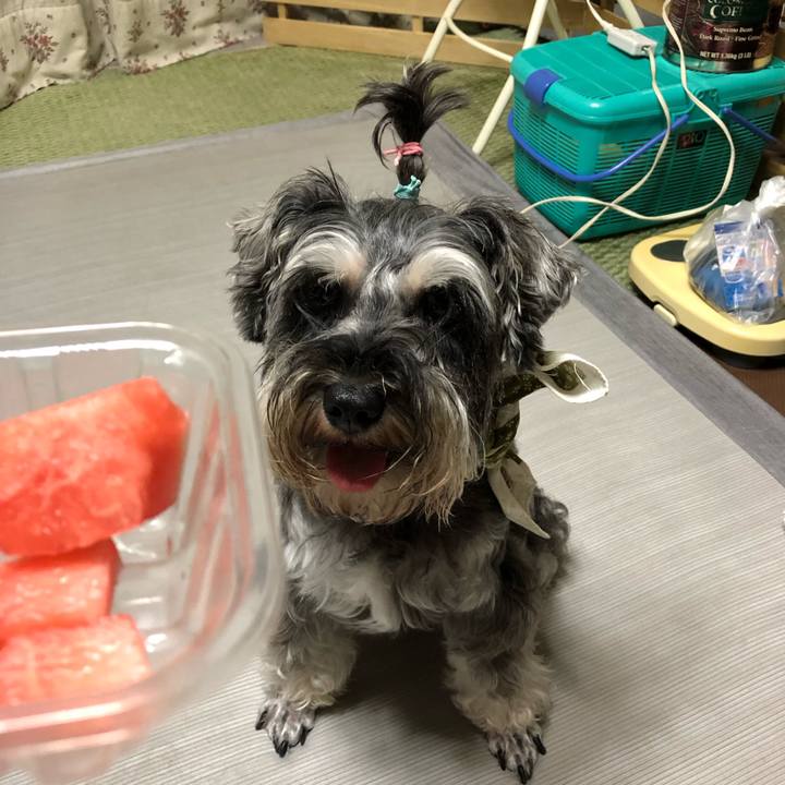 B4df0c2a da9c 4317 bf2d e4e10a161657 1565100531933