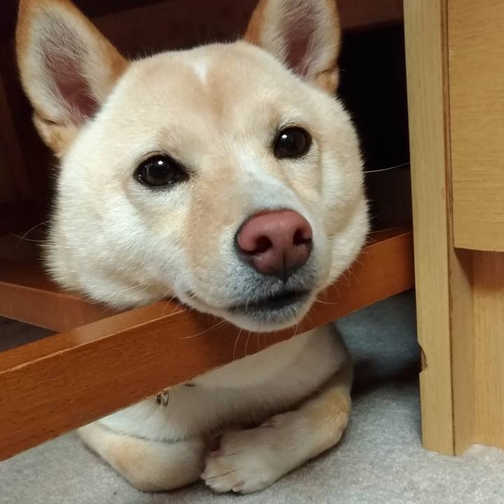 B4df1f5e 841b 48a6 b0f4 9c37c2fbaa12 1530660312120