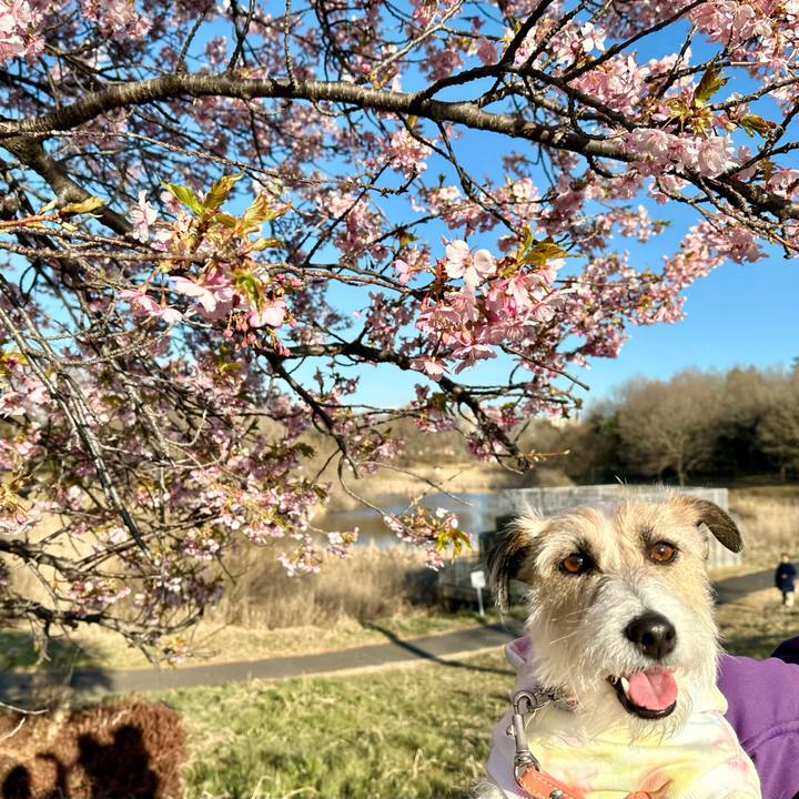 B4df2b3e db63 4783 9f3f 8159d2ce9481 1709476026861