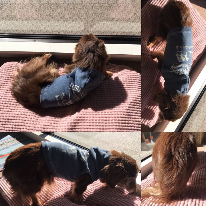 B4df3318 7153 4d33 8195 a27a39f1b280 1581210025401