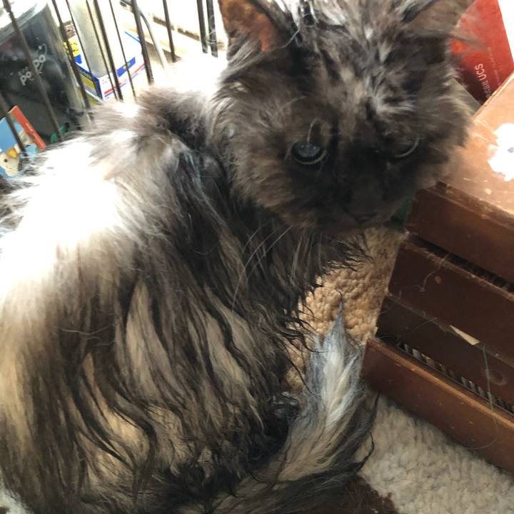 B4df4114 59e6 4b9e 8741 43faaea47e8c 1552186192565