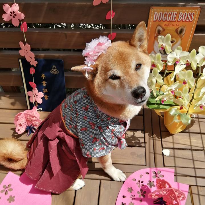 B4df5995 6d43 4d1a 8685 cd5bb0d3b44e 1617159887160