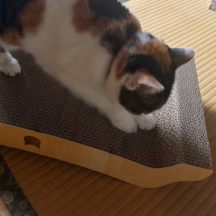 B4df6b79 81ab 4bf5 8686 a5510631ac97 1790470796356