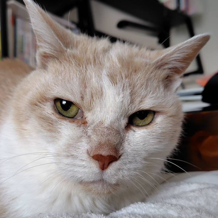 B4df977a ab21 4713 9156 34595247d856 1767570390689