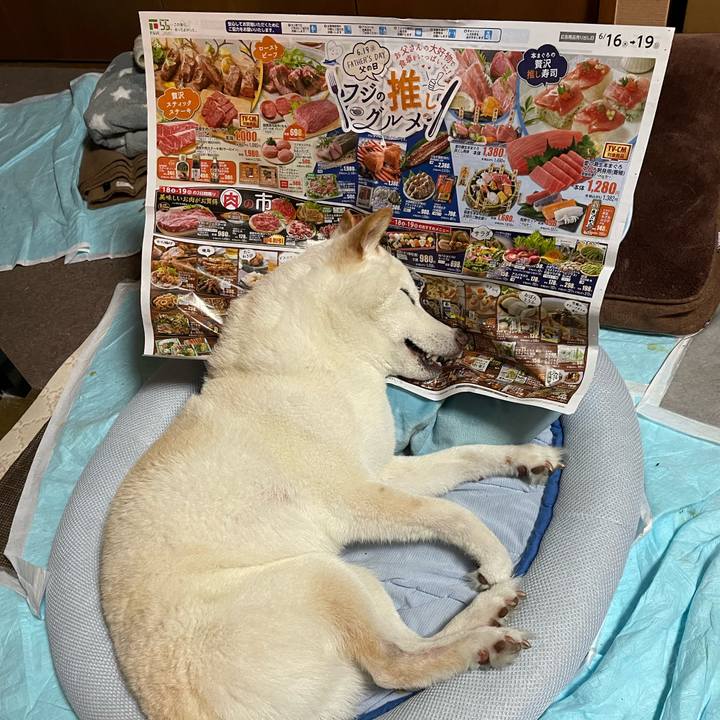 B4dfa719 4c94 4f7d bb1d 62f700be4d7a 1655645796271