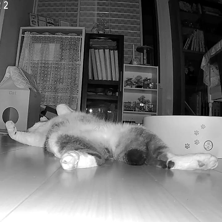 B4dfc131 6ef7 47ce b7bf 03d3152fa47f 1755767930195