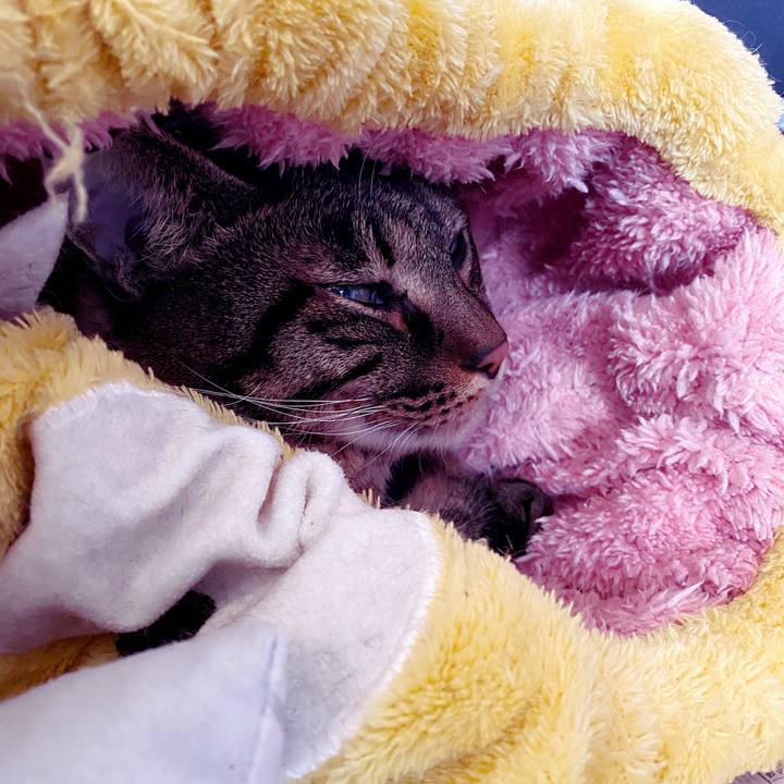 B4dfc53d 2b28 4545 856d 1f7626430875 1641030805032