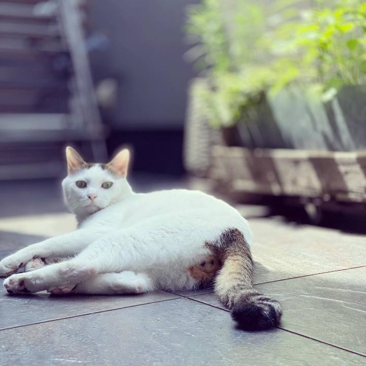 B4dffca6 e1ae 47f5 9a7a f1d0a1c92df2 1657320769528