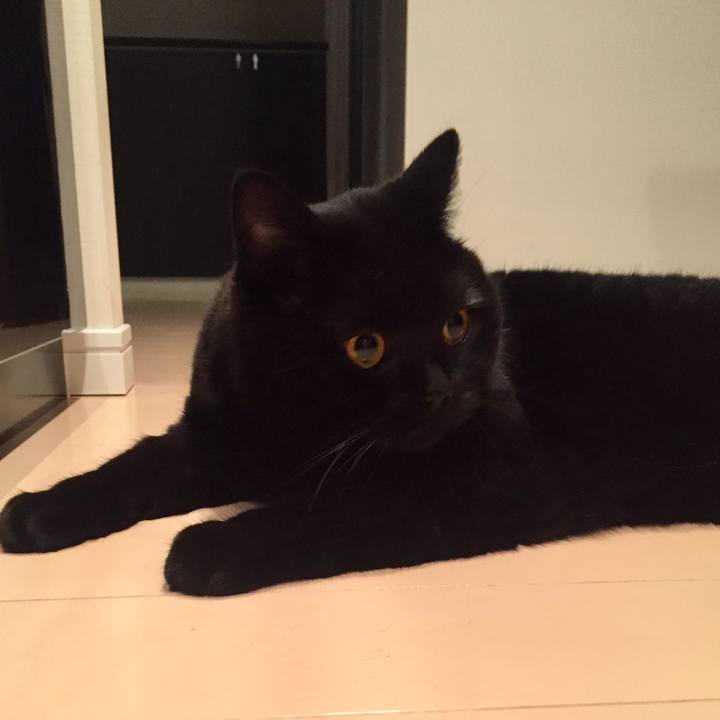 B4e02264 5abe 4eb8 af24 df410f2c1aa7 1569166252039