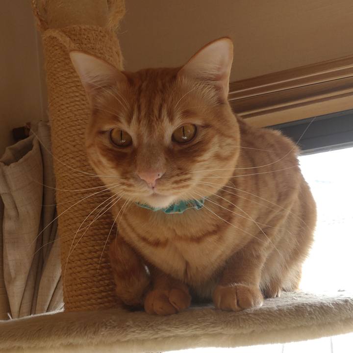 B4e029d6 8b3b 4226 9907 8e96f6b0a94e 1740872683888