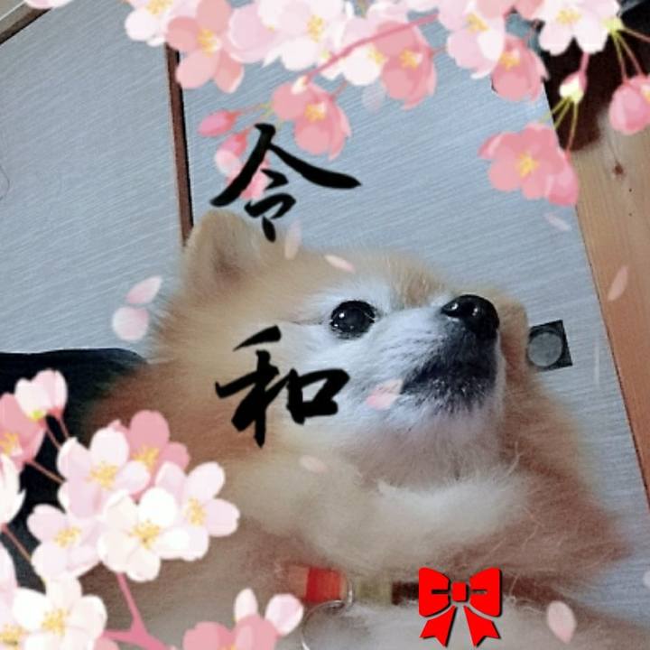 B4e040b2 2354 4e1a 863a 67a3d5249a88 1554116002071