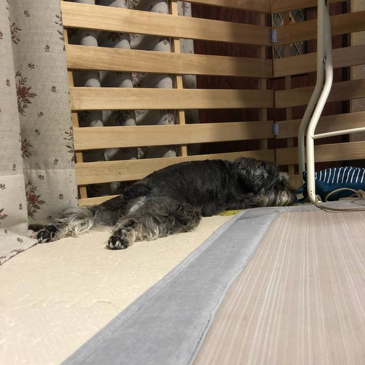 B4e04b23 e74a 45bd 872c 7295af2b9b8b 1623239922353