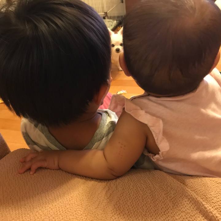 B4e05eb4 1818 45ce b475 28daf6ee796e 1531823800897