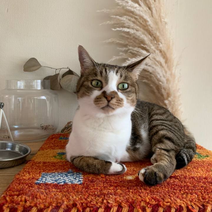 B4e063b0 29bb 4a34 b2cd 6a470036edc6 1661996471852