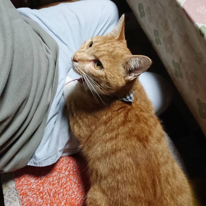 B4e072b7 01d4 44a0 a831 573c0c07f76b 1571219469797