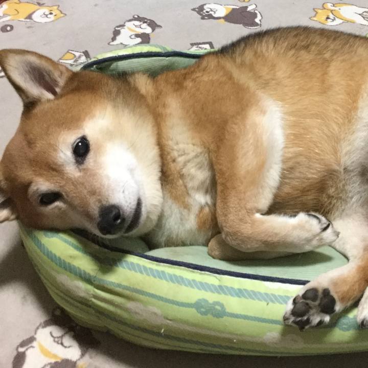 B4e076cc c7f6 457b 9cf1 3338ef7a212b 1606118460906