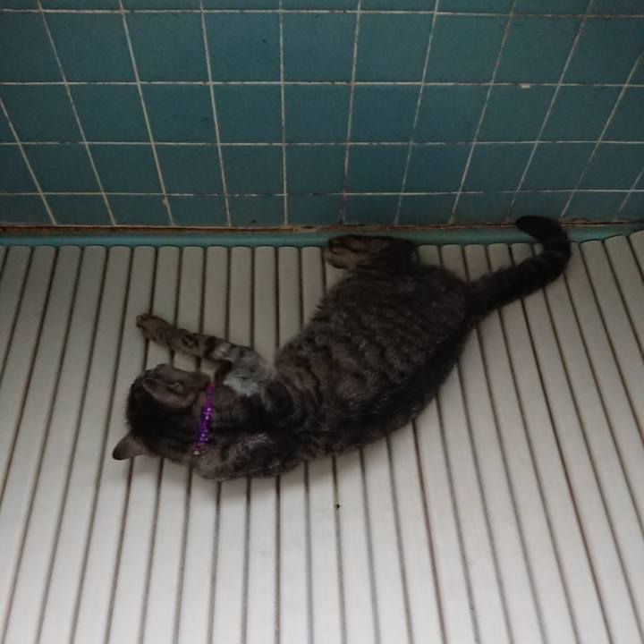 B4e0b935 a0ab 4450 997c 0a76b8191478 1591386641340