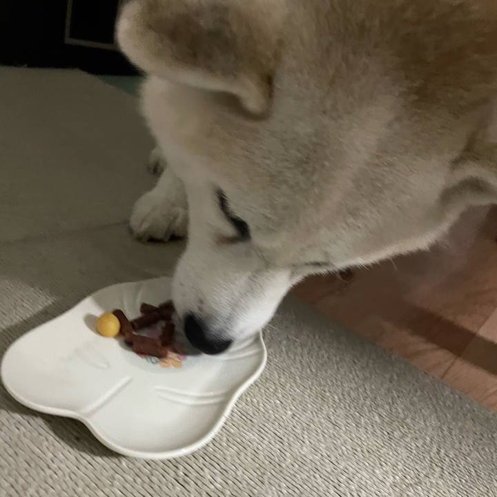 B4e0d8a7 68ae 4d54 a6c8 dc9edd3354a5 1702648763950