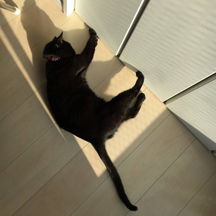 B4e0e012 b377 471e 9468 39057806feed 1522367488899