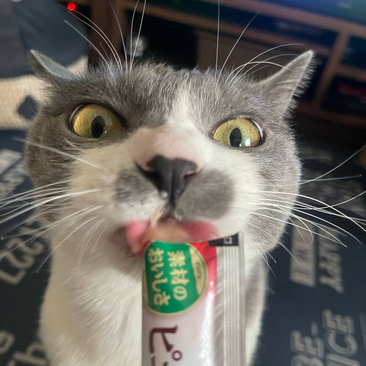 B4e0e040 ff2e 480a 924a fa5904d98662 1714292088362