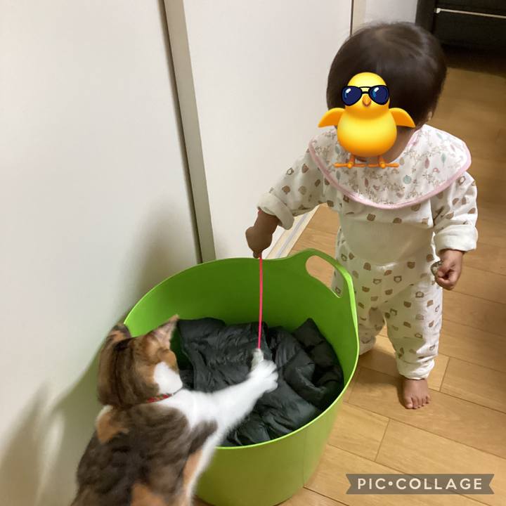 B4e0ffbc 5da6 4ff3 accb d26f1ef84be3 1666573820687