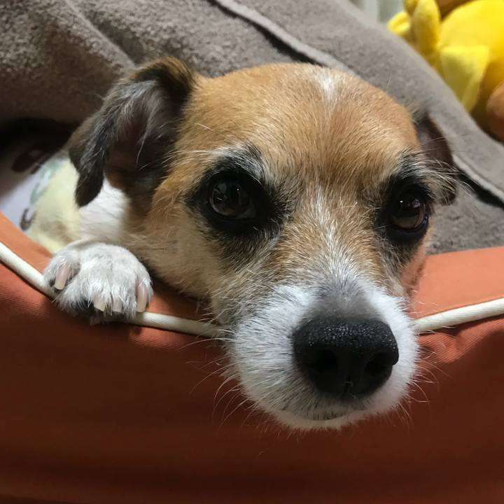 B4e10c2c b2b7 4e82 ace4 7824082423e7 1530433574347